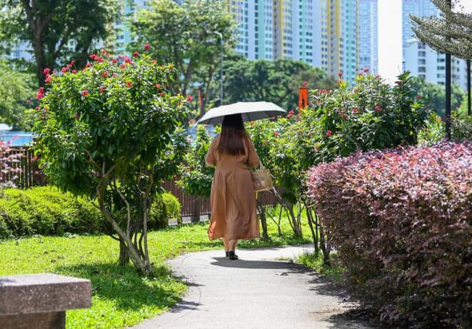 新加坡：气温飙升至37°C，与1983年创下的日最高纪录持平